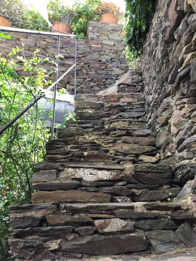 Casa Jordi - Piedra Y Boveda En El Corazon De Cadaques I 3 Suites I 2 Parkings I Patio Con Bbq Dom wakacyjny
